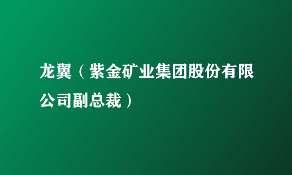 龙翼(紫金矿业集团股份有限公司副总裁)