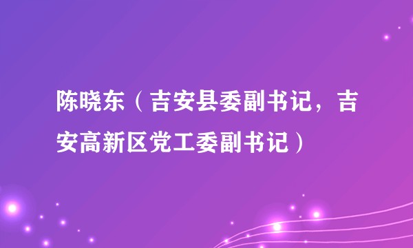 陈晓东（吉安县委副书记，吉安高新区党工委副书记）