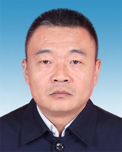 唐国强(陕西省西安市高陵区姬家街道党工委书记)