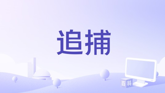 追捕（2006年Gautham Menon执导的印度电影）