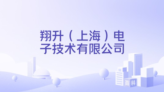 翔升（上海）电子技术有限公司