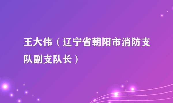 王大伟（辽宁省朝阳市消防支队副支队长）