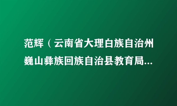 范辉（云南省大理白族自治州巍山彝族回族自治县教育局原党委书记）