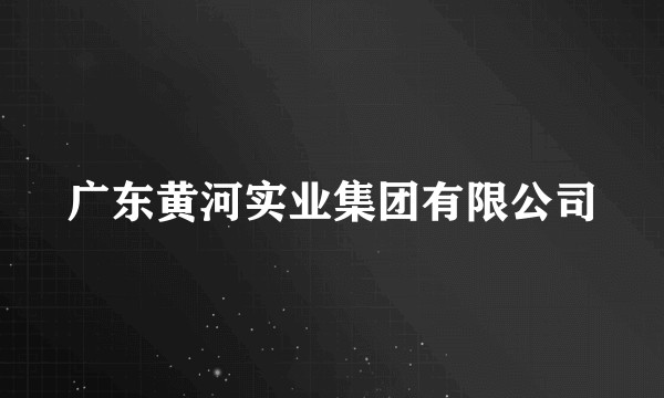 广东黄河实业集团有限公司