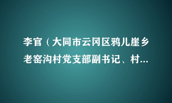 李官（大同市云冈区鸦儿崖乡老窑沟村党支部副书记、村委副主任）