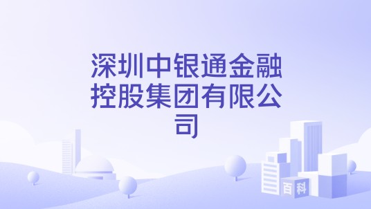 深圳中银通金融控股集团有限公司