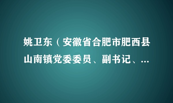 姚卫东（安徽省合肥市肥西县山南镇党委委员、副书记、武装部长、二级主任科员）