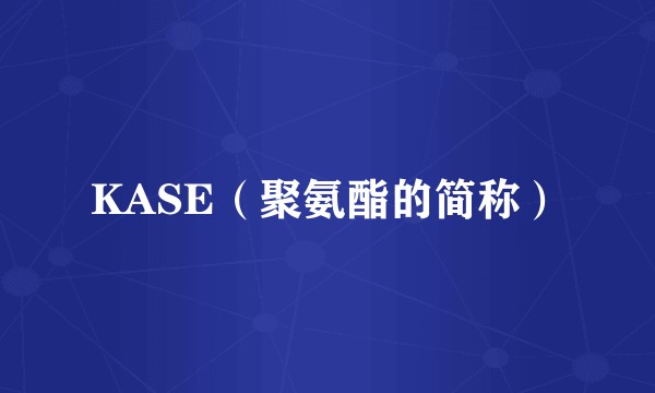 KASE（聚氨酯的简称）