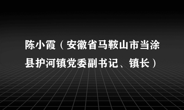 陈小霞（安徽省马鞍山市当涂县护河镇党委副书记、镇长）