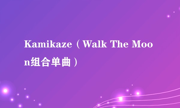 Kamikaze（Walk The Moon组合单曲）