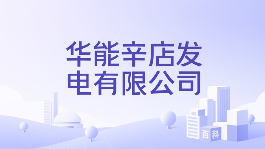 华能辛店发电有限公司