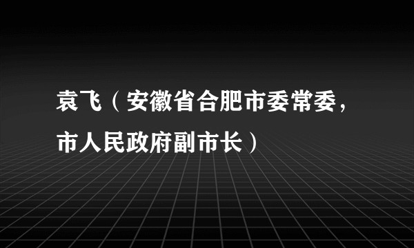 袁飞（安徽省合肥市委常委，市人民政府副市长）