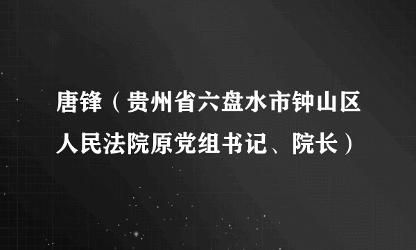 唐锋（贵州省六盘水市钟山区人民法院原党组书记、院长）