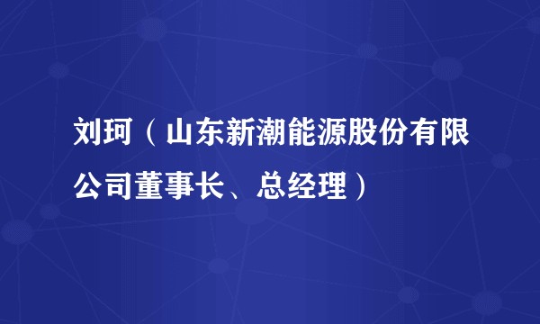 刘珂（山东新潮能源股份有限公司董事长、总经理）