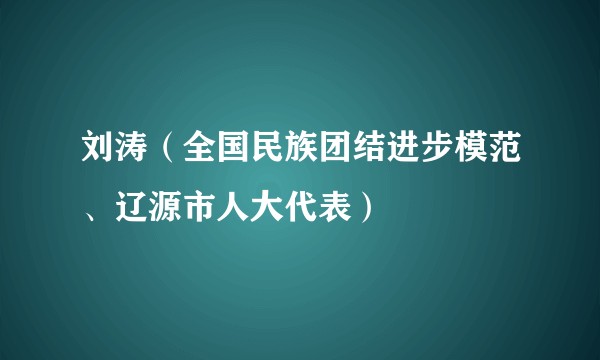 刘涛(全国民族团结进步模范、辽源市人大代表)