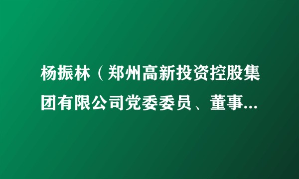 杨振林（郑州高新投资控股集团有限公司党委委员、董事、副总经理）