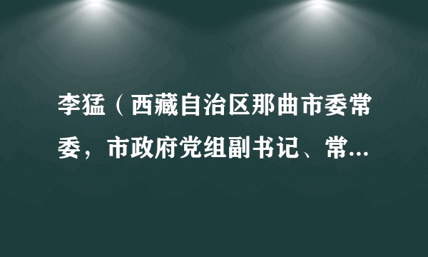 李猛（西藏自治区那曲市委常委，市政府党组副书记、常务副市长）