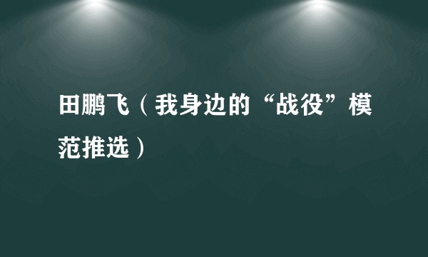 田鹏飞（我身边的“战役”模范推选）
