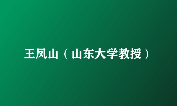 王凤山(山东大学教授)