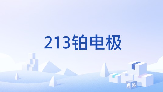 213铂电极