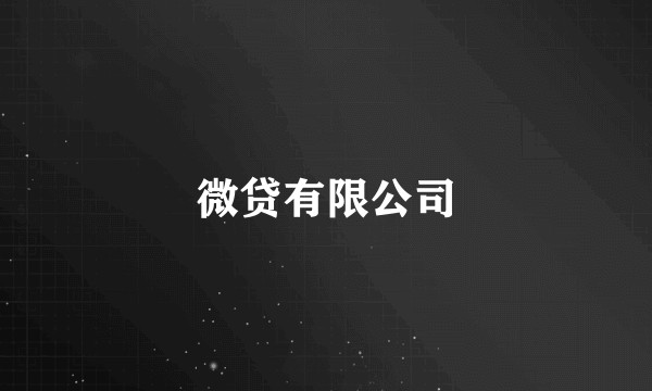 微贷有限公司