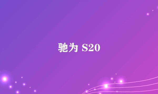 驰为 S20