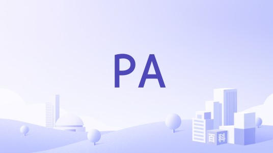 PA（日本PremiumAgency公司）