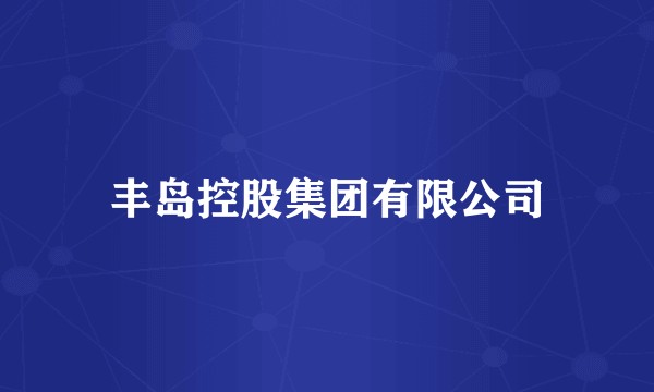 丰岛控股集团有限公司