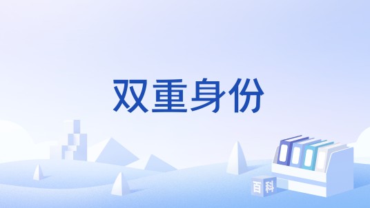 双重身份（小游戏）