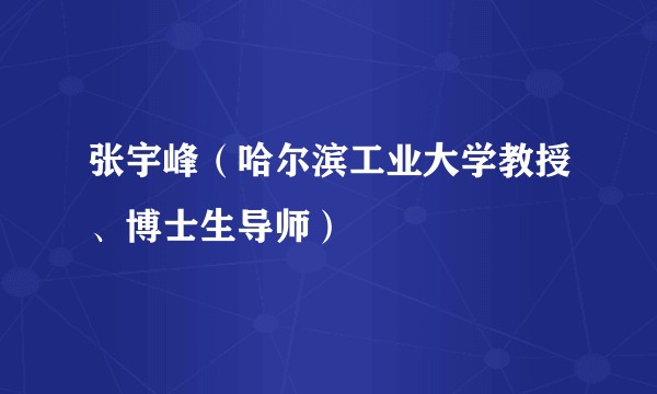 张宇峰（哈尔滨工业大学教授、博士生导师）