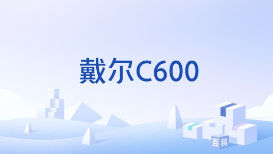戴尔C600