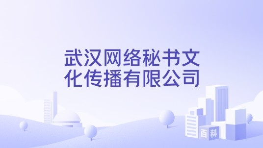 武汉网络秘书文化传播有限公司