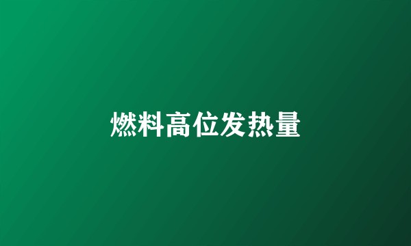 燃料高位发热量