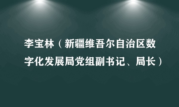 李宝林(新疆维吾尔自治区数字化发展局党组副书记、局长)