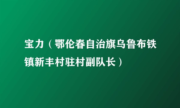 宝力（鄂伦春自治旗乌鲁布铁镇新丰村驻村副队长）