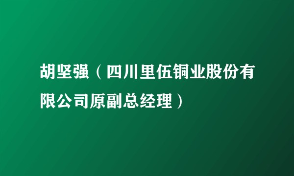 胡坚强(四川里伍铜业股份有限公司原副总经理)