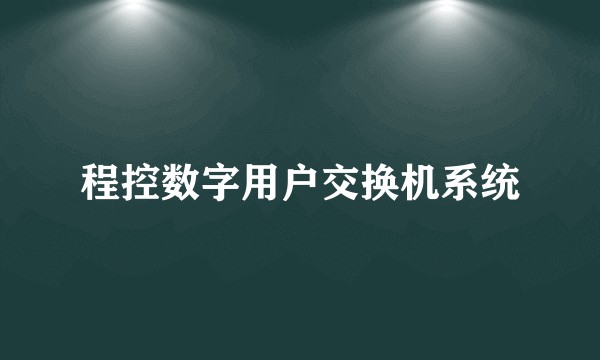 程控数字用户交换机系统