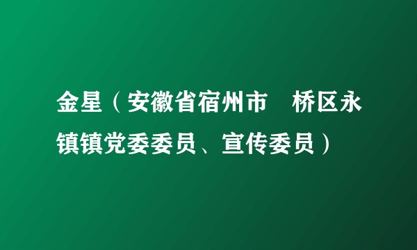 金星（安徽省宿州市埇桥区永镇镇党委委员、宣传委员）