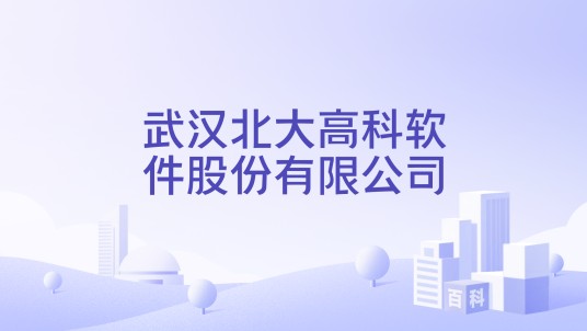 武汉北大高科软件股份有限公司