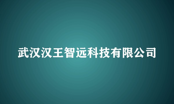武汉汉王智远科技有限公司