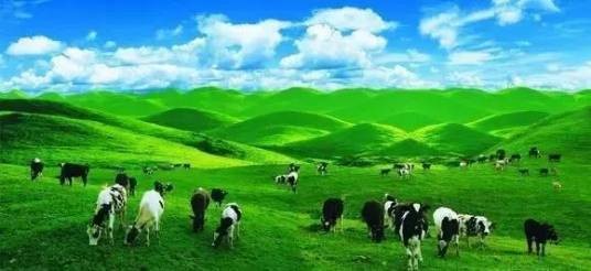 龙胜南山牧场