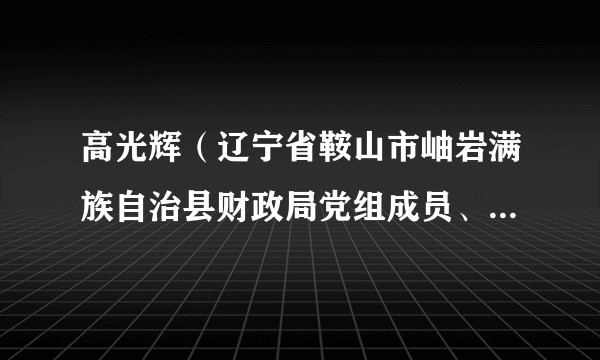高光辉（辽宁省鞍山市岫岩满族自治县财政局党组成员、副局长）