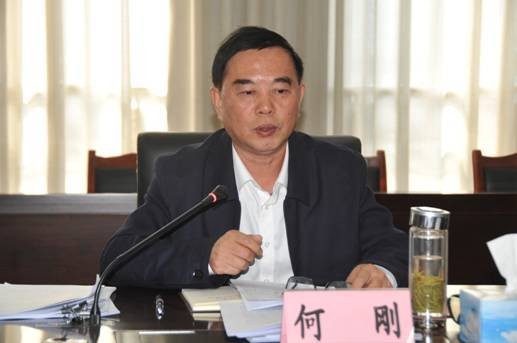 何刚(江西省人大监察和司法委员会原副主任委员)