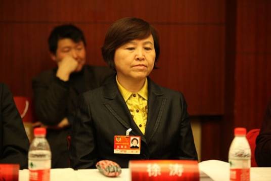 徐涛(中国吉林大学教授、全国政协委员)