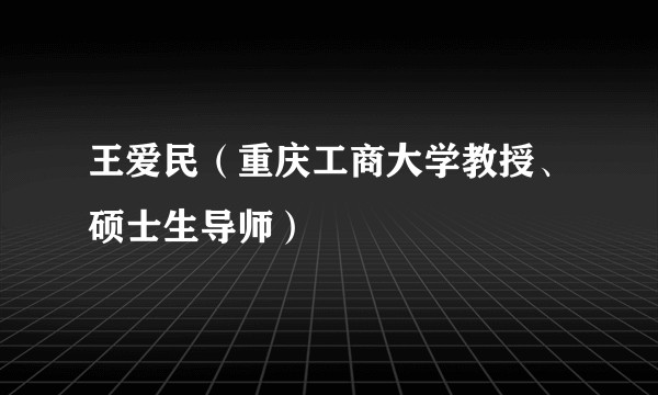 王爱民（重庆工商大学教授、硕士生导师）