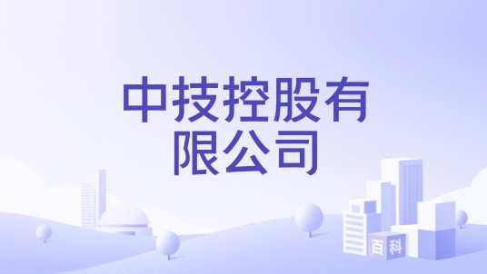 中技控股有限公司