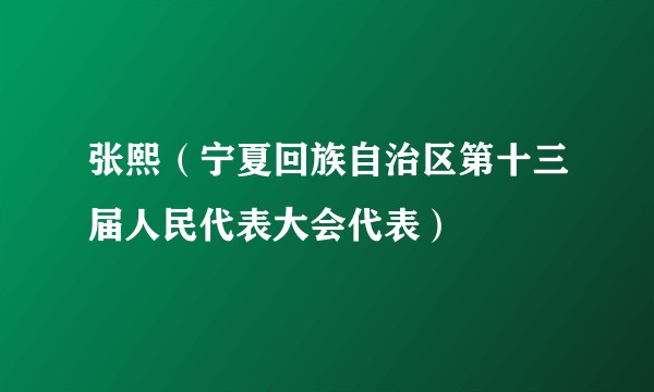 张熙（宁夏回族自治区第十三届人民代表大会代表）