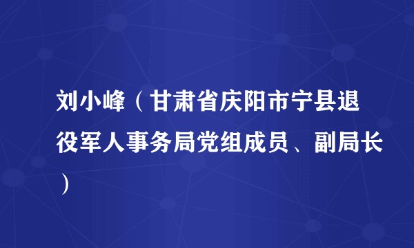 刘小峰（甘肃省庆阳市宁县退役军人事务局党组成员、副局长）