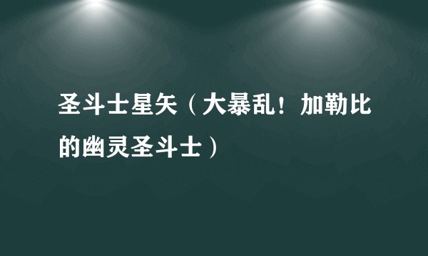 圣斗士星矢（大暴乱！加勒比的幽灵圣斗士）