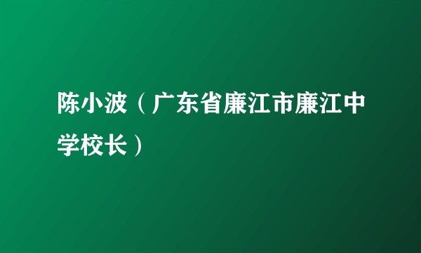 陈小波（广东省廉江市廉江中学校长）